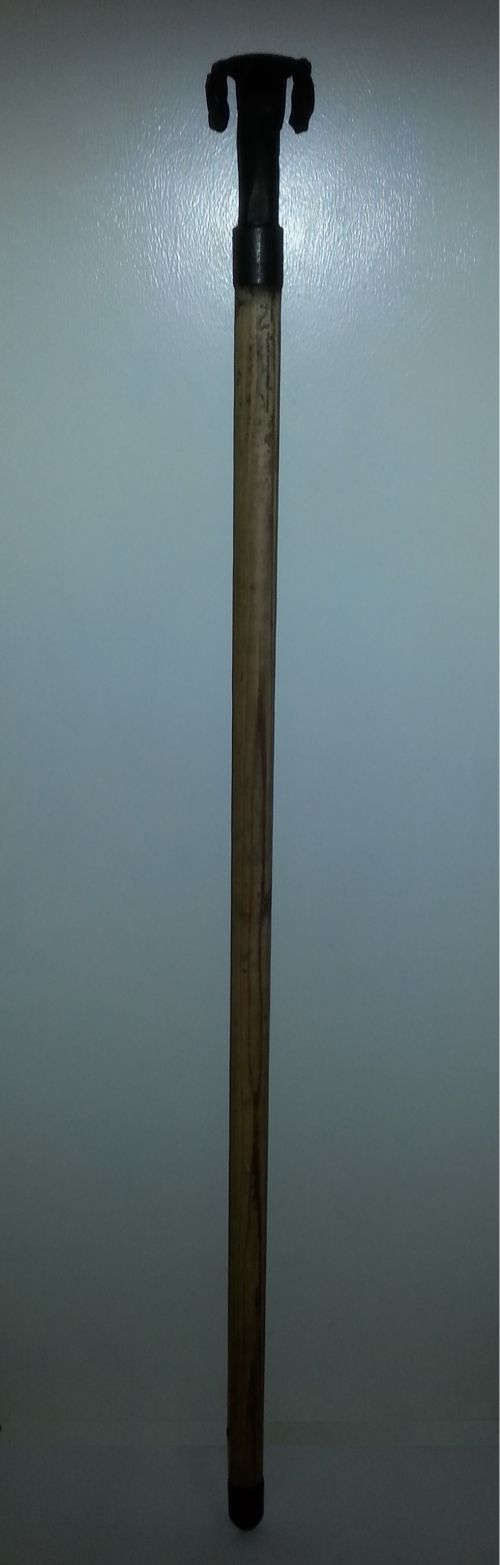 Wandelstok