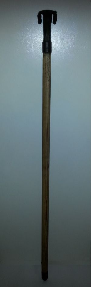 Wandelstok