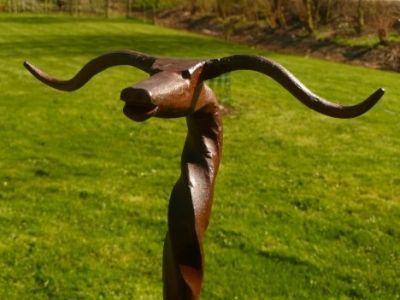 Longhorn